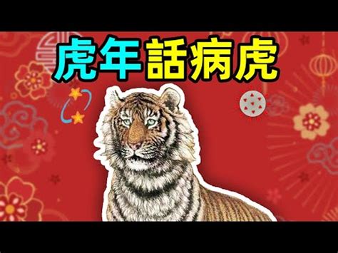 老虎畫風水 陣風級數查詢